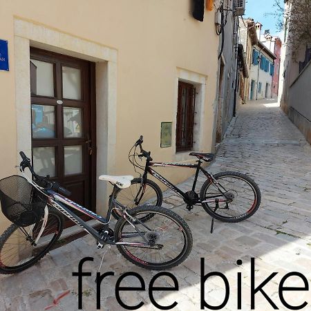 Zen Studio In Center Of Rovinj Kültér fotó